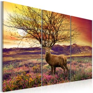 Obraz na plátne Bimago - Efektní paroh 60x40 cm