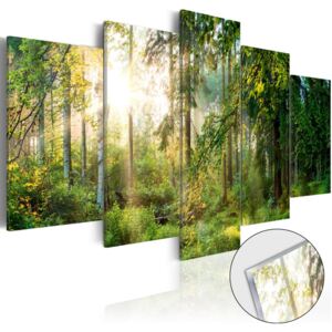 Sklenený obraz Bimago - Green Sanctuary 100x50 cm