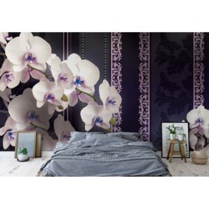 Fototapeta GLIX - Luxury Floral Orchids 13 + lepidlo ZADARMO Vliesová tapeta - 254x184 cm