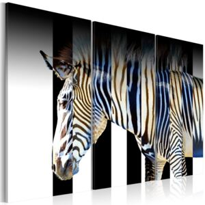 Obraz na plátne Bimago - Stripes 60x40 cm