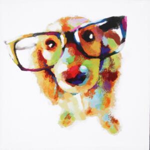 Falc Obraz na plátne - Jolly Dog 2, 50x50 cm