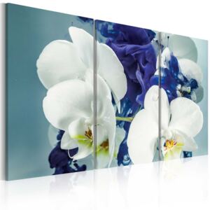 Obraz na plátne - Chimerical orchids 60x40 cm