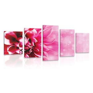 5-dielny obraz ružový kvet