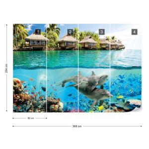 Fototapeta GLIX - Tropical Lagoon Dolphins Underwater Vliesová tapeta - 368x254 cm