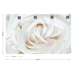 Fototapeta GLIX - Soft White Rose Vliesová tapeta - 416x254 cm