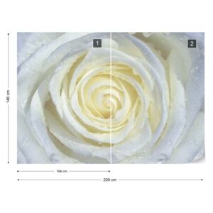 Fototapeta GLIX - Rose Flower White 2 Vliesová tapeta - 208x146 cm