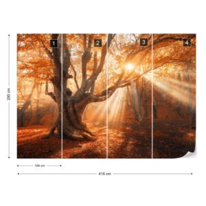 Fototapeta GLIX - Autumn Magic Vliesová tapeta - 416x290 cm