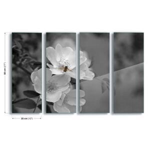 Obraz na skle GLIX - Bee Blossom 4 x 30x80 cm