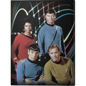 Obraz na plátne Star Trek - Kirk, Spock, Uhura & Bones, (60 x 80 cm)