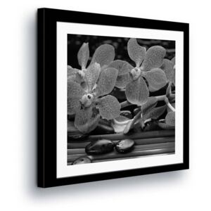 GLIX Obraz na plátne - Black & White Flowers in Passepartout III 80x80 cm