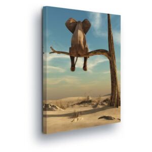 Obraz na plátne GLIX - Sitting Elephant 50x70 cm