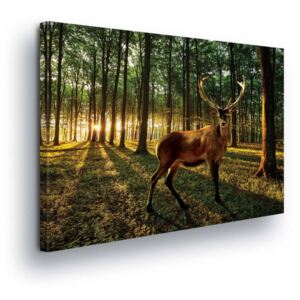 Obraz na plátne GLIX - Deer in the Forest 100x75 cm