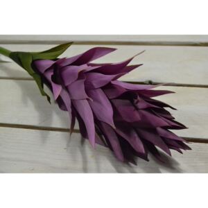 Umelý kvet kurkuma - fialová (V:90cm) 062 veľkosť