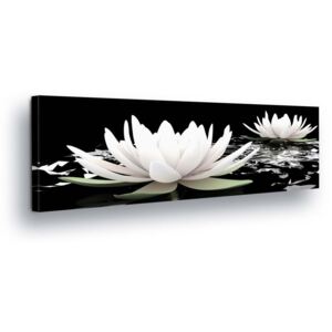 Obraz na plátne GLIX - Black and White Water Lily II 45x145 cm