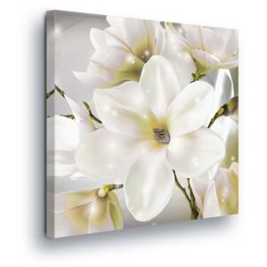 GLIX Obraz na plátne - Magic White Flowers 80x80 cm