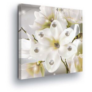 GLIX Obraz na plátne - Magic White Flowers II 40x40 cm