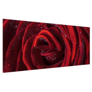 Obraz červenej ruže (120x50 cm)