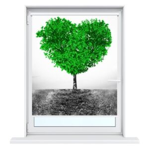 Gario Roleta s potlačou Zelený strom lásky Rozmery (š x v): 80 x 150 cm