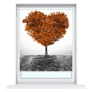 Gario Roleta s potlačou Hnedý strom lásky Rozmery (š x v): 80 x 150 cm