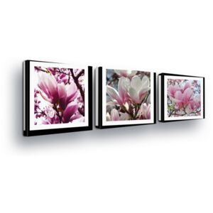 Obraz na plátne GLIX - Pink Flowers in the Passepartout 3 x 25x25 cm