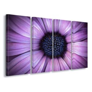 GLIX Obraz na plátne - Mesmerising 4 x 30x80 cm