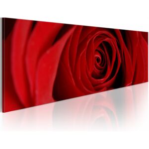 Obraz na plátne - Midnight rose 120x40 cm