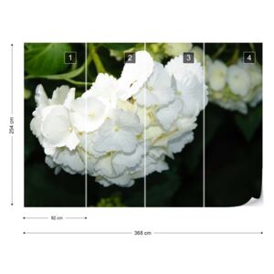 Fototapeta GLIX - Flowers Hydrangea White + lepidlo ZADARMO Papírová tapeta - 368x254 cm