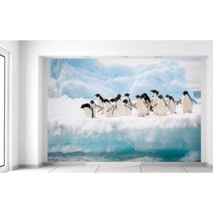 Gario Fototapeta Skupina tučniakov 200x135cm Materiál: Latexová (lepidlo zadarmo)