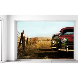 Gario Fototapeta Staré autá z USA Rozmery (š x v): 200 x 135 cm, Materiál: Latexová (lepidlo zadarmo)