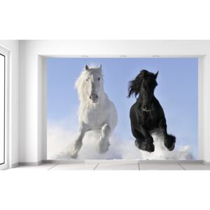 Gario Fototapeta Black and white Rozmery (š x v): 200 x 135 cm, Materiál: Latexová (lepidlo zadarmo)