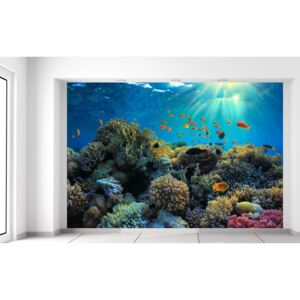 Gario Fototapeta Krásny korálový útes 200x135cm Materiál: Samolepiaca