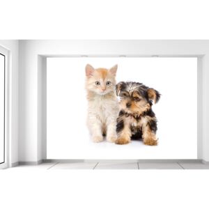 Gario Fototapeta Roztomilý psík a mačička Rozmery (š x v): 200 x 135 cm, Materiál: Latexová (lepidlo zadarmo)