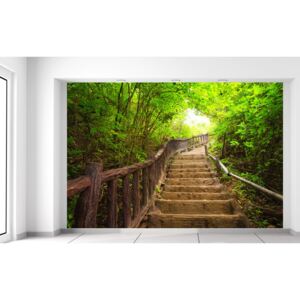 Gario Fototapeta Schody v lese v Thajsku Rozmery (š x v): 200 x 135 cm, Materiál: Latexová (lepidlo zadarmo)