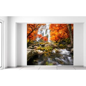 Gario Fototapeta Jesenný vodopád Rozmery (š x v): 268 x 240 cm, Materiál: Latexová (lepidlo zadarmo)