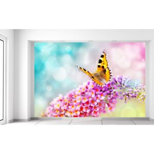 Gario Fototapeta Motýľ na kvetoch Rozmery (š x v): 200 x 135 cm, Materiál: Latexová (lepidlo zadarmo)