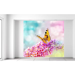 Gario Fototapeta Motýľ na kvetoch Rozmery (š x v): 268 x 240 cm, Materiál: Latexová (lepidlo zadarmo)