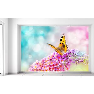 Gario Fototapeta Motýľ na kvetoch Rozmery (š x v): 368 x 248 cm, Materiál: Latexová (lepidlo zadarmo)