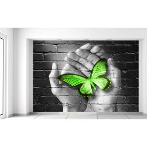 Gario Fototapeta Zelený motýľ v dlaniach Rozmery (š x v): 200 x 135 cm, Materiál: Latexová (lepidlo zadarmo)