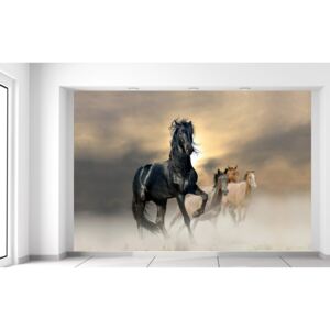 Gario Fototapeta Nádherný čierny kôň Rozmery (š x v): 200 x 135 cm, Materiál: Latexová (lepidlo zadarmo)