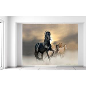 Gario Fototapeta Nádherný čierny kôň Rozmery (š x v): 200 x 150 cm, Materiál: Latexová (lepidlo zadarmo)