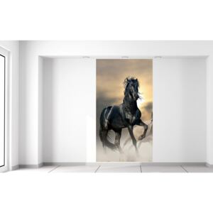 Gario Fototapeta Nádherný čierny kôň Rozmery (š x v): 110 x 200 cm, Materiál: Latexová (lepidlo zadarmo)