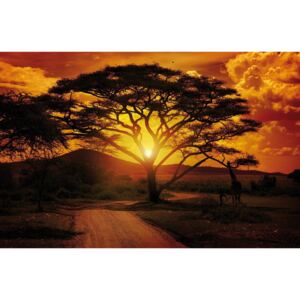 Fototapeta vliesová: Africký západ slnka - 416x254 cm
