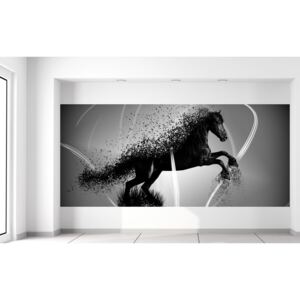 Gario Fototapeta Čiernobiely kôň - Jakub Banas Rozmery (š x v): 536 x 240 cm, Materiál: Latexová (lepidlo zadarmo)