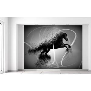 Gario Fototapeta Čiernobiely kôň - Jakub Banas Rozmery (š x v): 200 x 150 cm, Materiál: Latexová (lepidlo zadarmo)