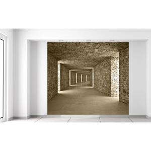 Gario Fototapeta Kamenný tunel Rozmery (š x v): 268 x 240 cm, Materiál: Latexová (lepidlo zadarmo)