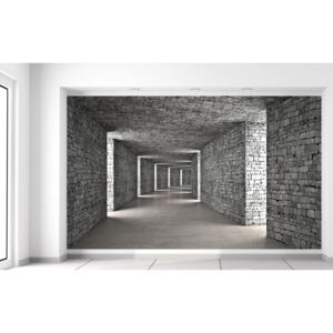 Gario Fototapeta Sivý kamenný tunel Materiál: Vliesová (lepidlo zadarmo), Veľkosť: 412 x 248 cm