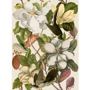 Magnolia Taupe, farebná skupina hnedá + béžová