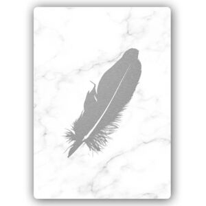 Kovový obraz - Gray Feather