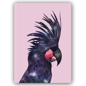 Kovový obraz - Black Cockatoo Parrot
