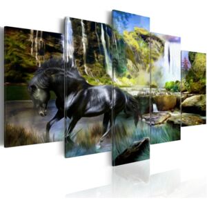 Obraz na plátne - Black horse on the background of paradise waterfall 100x50 cm